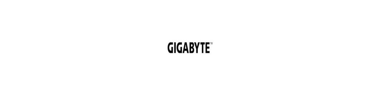 Gigabyte carte mere