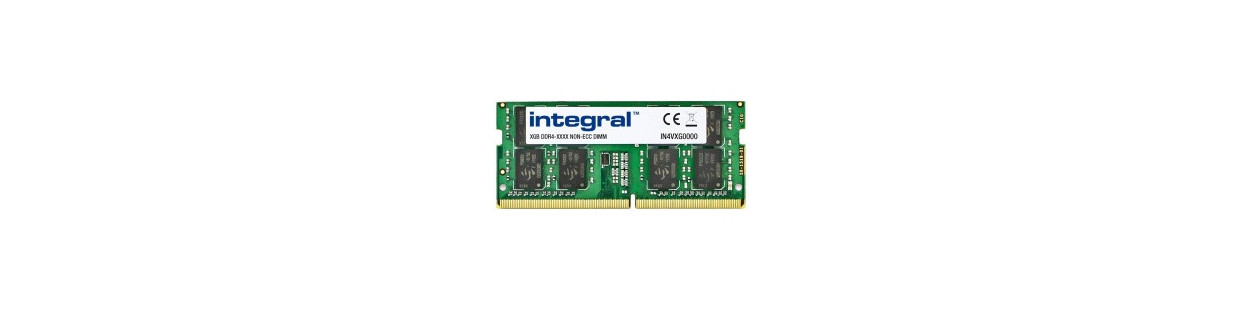 Integral ram